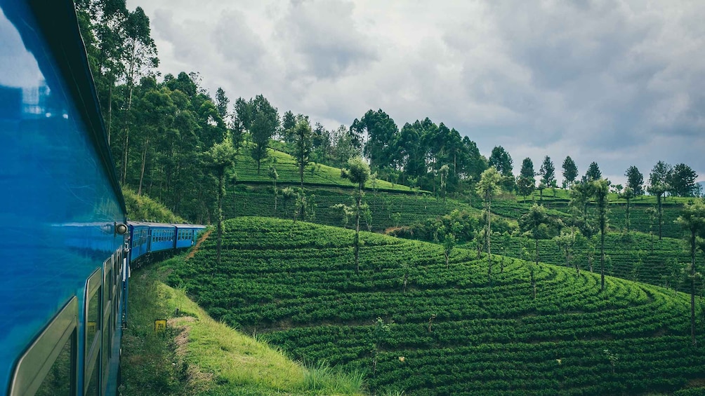 Picture 2 for Activity Ella: First-Class Scenic Train Ticket To/From Nanuoya