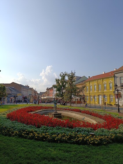 Picture 4 for Activity Novi Sad and Petrovaradin with High speed train