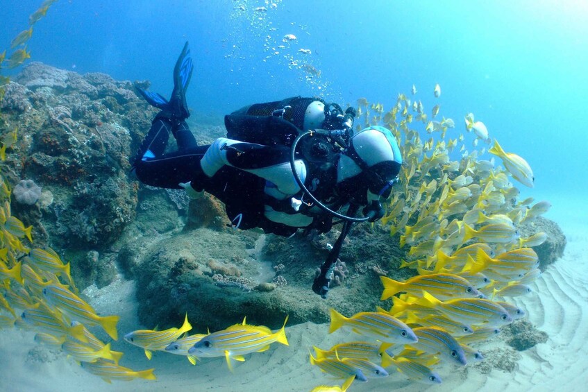 Picture 6 for Activity Santa Marta: 2-Day PADI Advanced Open Water Certification