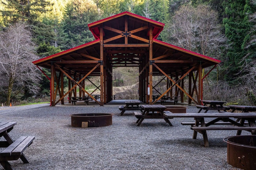 From Fort Bragg: Redwoods Train Ride and Nightclub Ticket