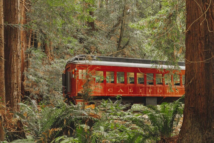 Picture 2 for Activity From Fort Bragg: Redwoods Train Ride and Nightclub Ticket