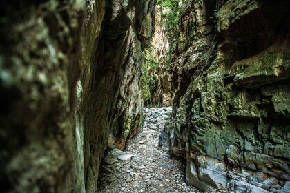 Vanuit Kalamata: Ridomo kloof wandeltocht met Griekse koffie