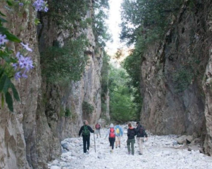 Picture 2 for Activity From Kalamata: Ridomo Gorge Hiking Tour with Greek Coffee
