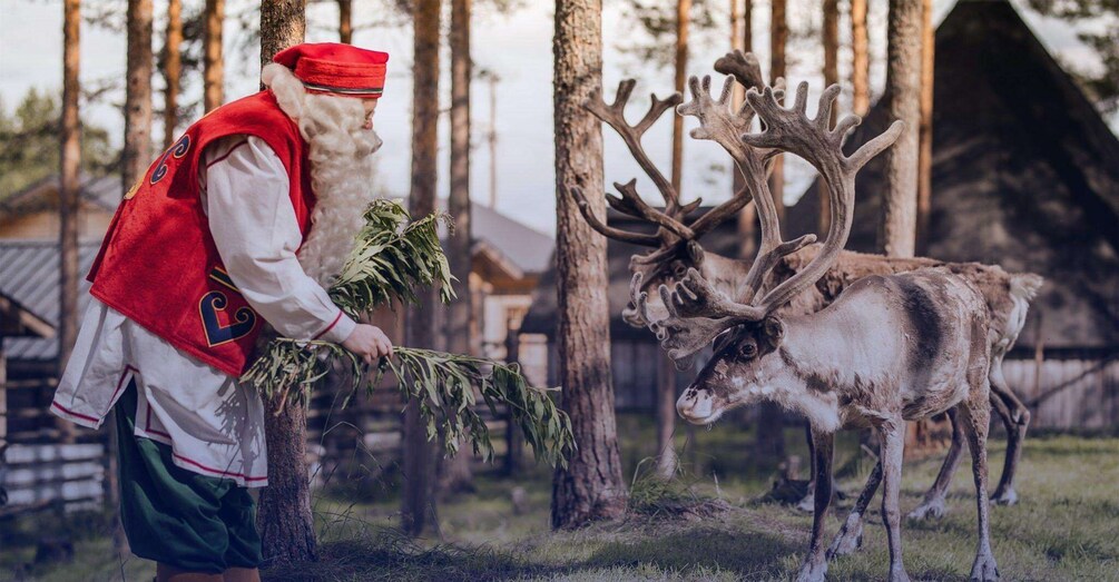 Picture 3 for Activity From Rovaniemi: Private Santa Claus Village Tour