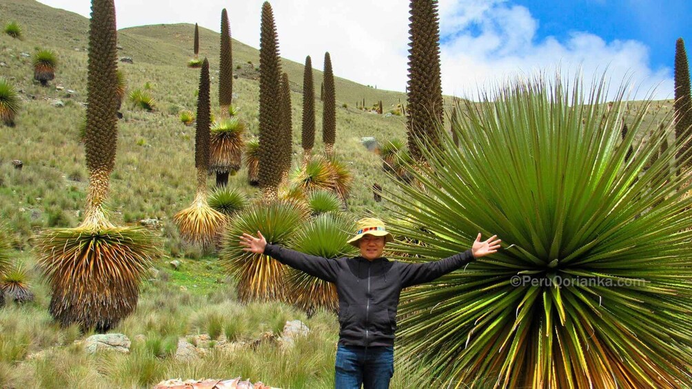 Picture 1 for Activity From Ancash: Tour Huaraz with Puya Raymondi 4D/3N