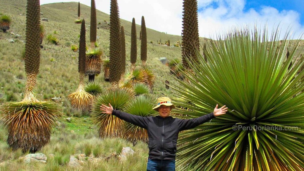Picture 1 for Activity From Ancash: Tour Huaraz with Puya Raymondi |4Days-3Nights|