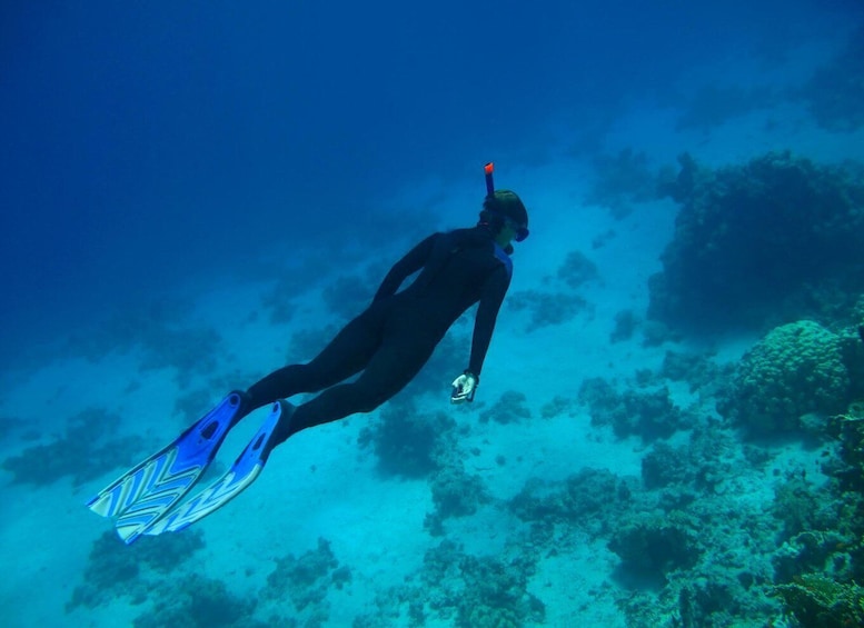 Picture 4 for Activity From Aqaba: Red Sea Cruise & Snorkeling Experience