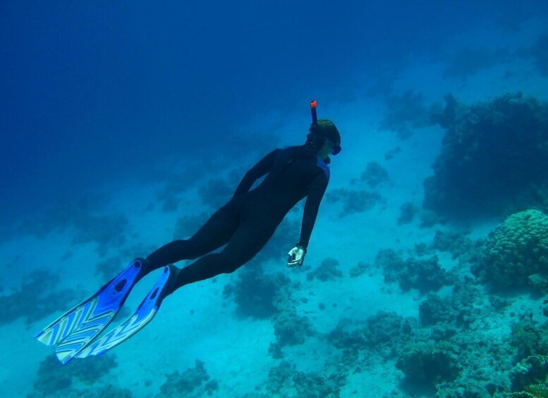 Picture 4 for Activity From Aqaba: Red Sea Cruise & Snorkeling Experience