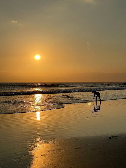 Picture 6 for Activity Costa Rica: Private Guided Sunset & Snorkelling Experience