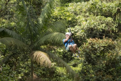 San Jose: San Luis sademetsä- ja Zipline-kierros lounaalla: San Luis Rainfo...