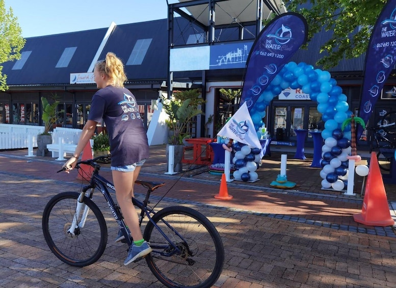 Picture 4 for Activity Knysna Bicycle Hire