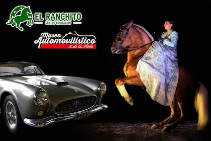 Combo Horse show and Automobile and Fashion Museum tickets