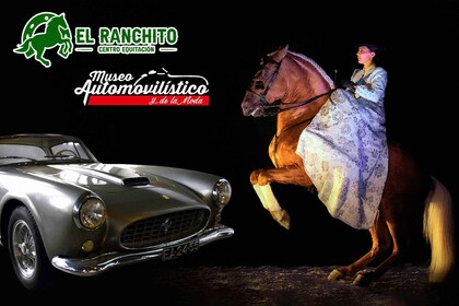 Entradas combinadas para el espectáculo ecuestre y el Museo del Automóvil y...