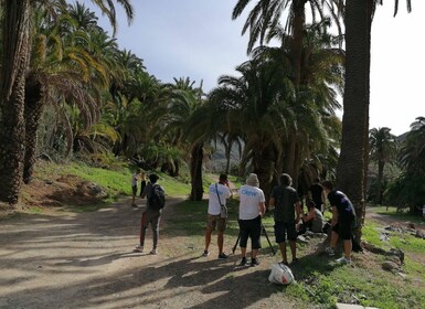 Gran Canaria: Kameltur i Camel Safari Park