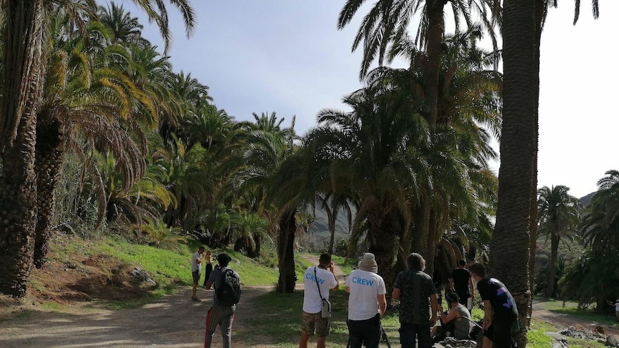 Gran Canaria: Camel Ride at Camel Safari Park