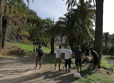 Gran Canaria : Promenade à dos de chameau au Camel Safari Park