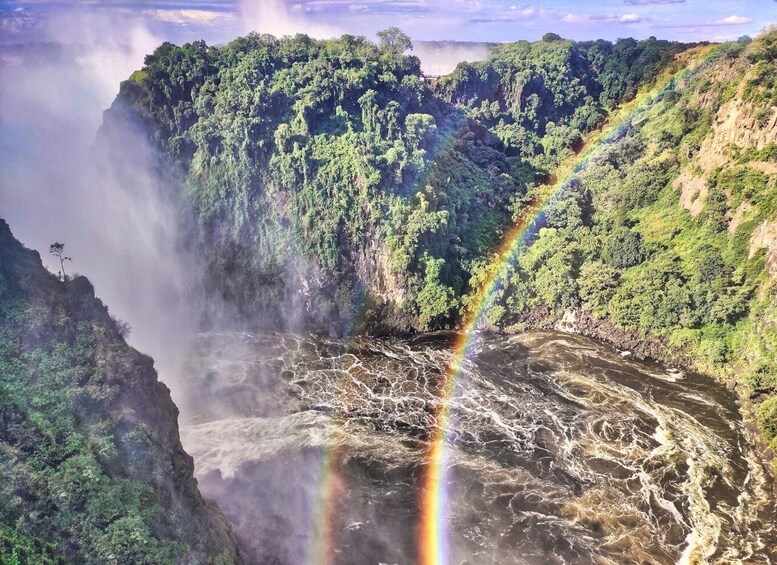 Picture 11 for Activity Victoria Falls: Historic Bridge Walking Tour