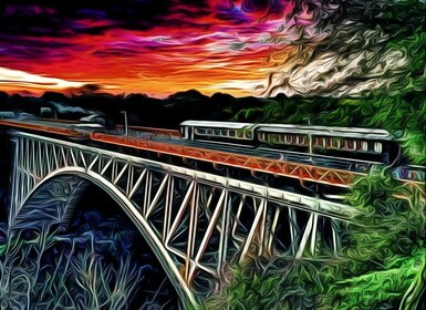Victoria Falls: Historischer Brückenrundgang