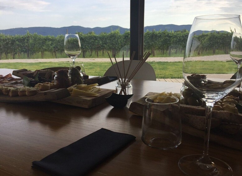 Picture 2 for Activity Ljubljana: Private Family-Owned Vineyard Wine Tasting Trip