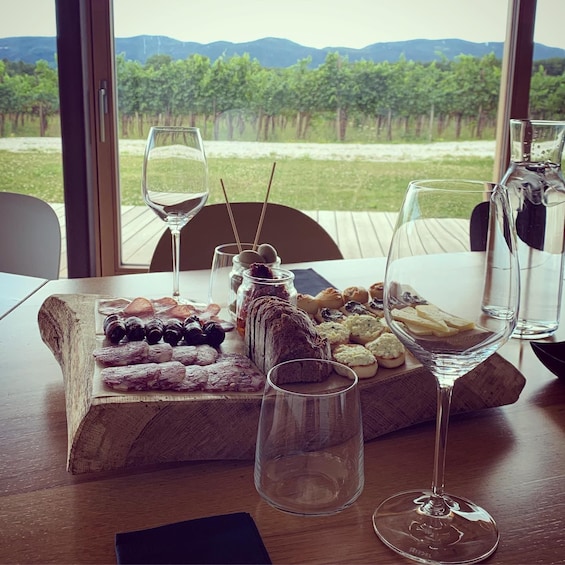 Picture 1 for Activity Ljubljana: Private Family-Owned Vineyard Wine Tasting Trip