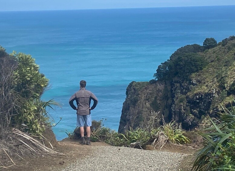 Picture 8 for Activity Piha & Karekare - Out of Auckland Private Tour