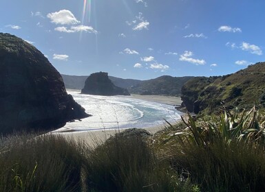 Piha et Karekare - Au départ d'Auckland Private excursion