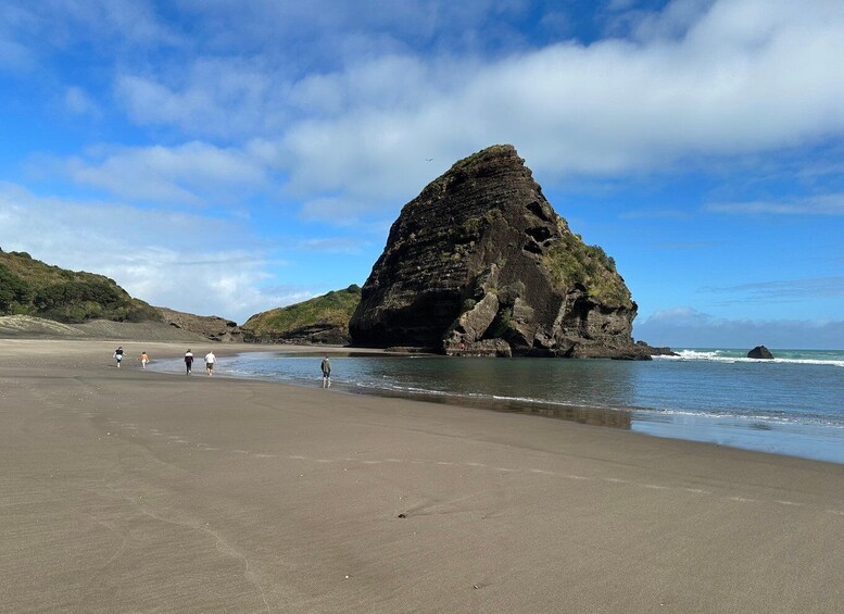 Picture 3 for Activity Piha & Karekare - Out of Auckland Private Tour