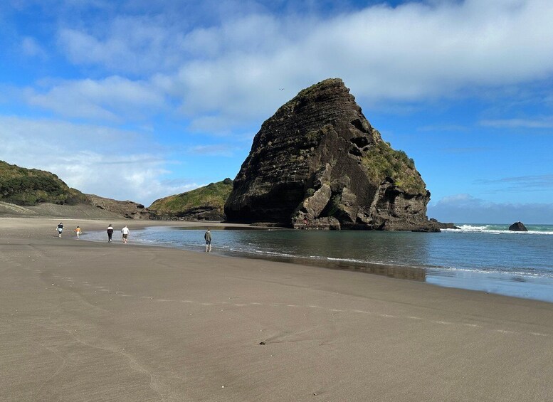 Picture 3 for Activity Piha & Karekare - Out of Auckland Private Tour