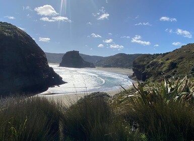 Piha y Karekare: recorrido privado desde Auckland