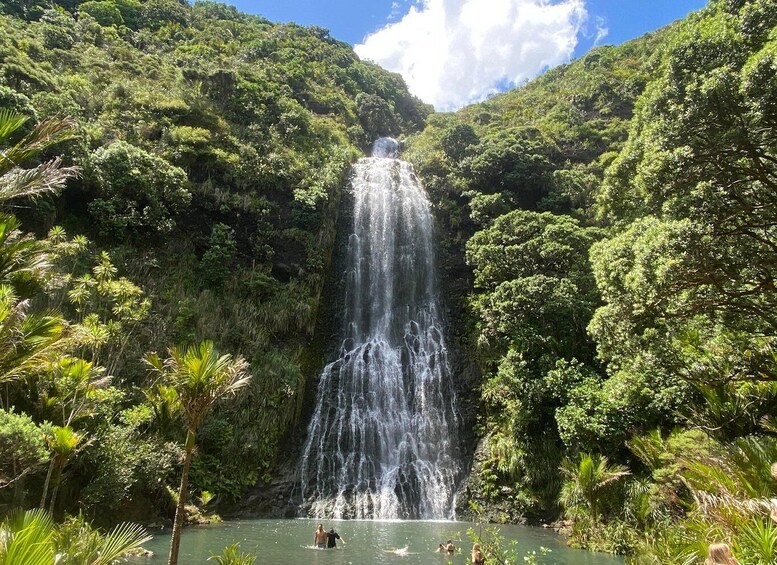 Picture 4 for Activity Piha & Karekare - Out of Auckland Private Tour