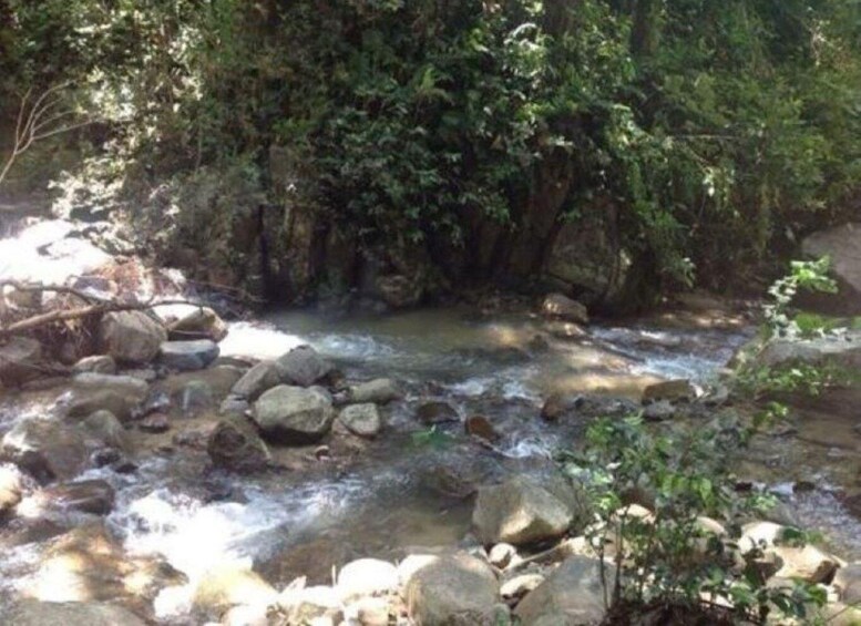 Picture 8 for Activity Fiji Jungle Hike & Waterfall Discovery with Kava Ceremony