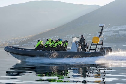 Tromsø: Skjervøy RIB Walbeobachtungstour