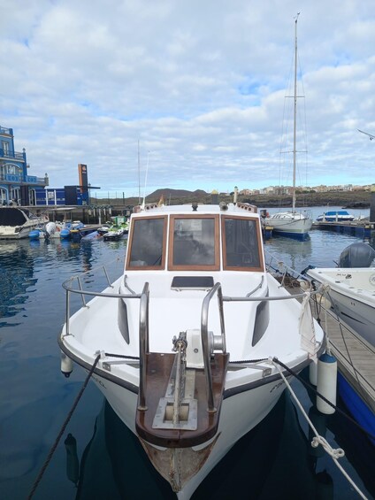 Picture 12 for Activity Tenerife: Fishing Boat trip