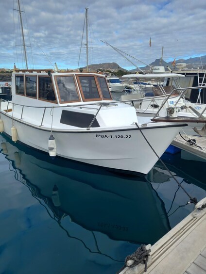 Picture 1 for Activity Tenerife: Fishing Boat trip