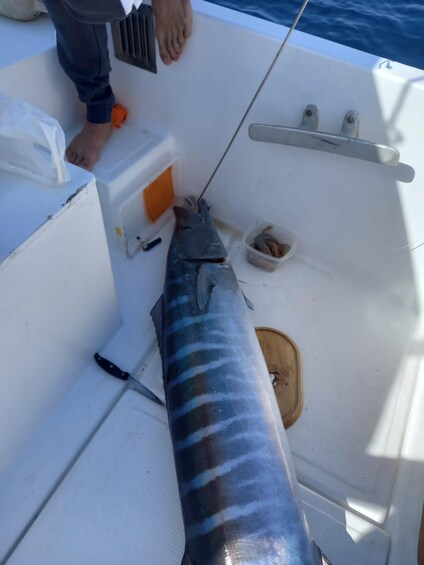 Picture 6 for Activity Tenerife: Fishing Boat trip