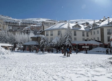 From Sierra Nevada ; Private transfer to Granada city