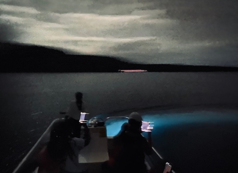 Picture 6 for Activity Vieques: Bioluminescent Bay Boat Tour