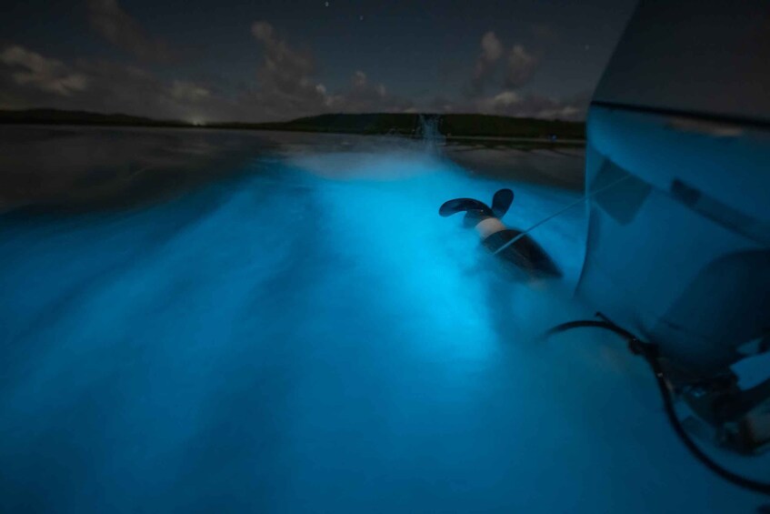 Picture 8 for Activity Vieques: Bioluminescent Bay Boat Tour