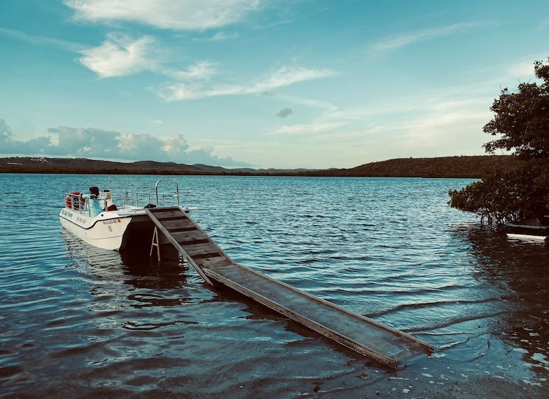 Picture 2 for Activity Vieques: Bioluminescent Bay Boat Tour