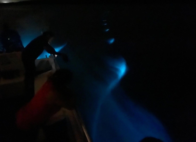 Picture 5 for Activity Vieques: Bioluminescent Bay Boat Tour