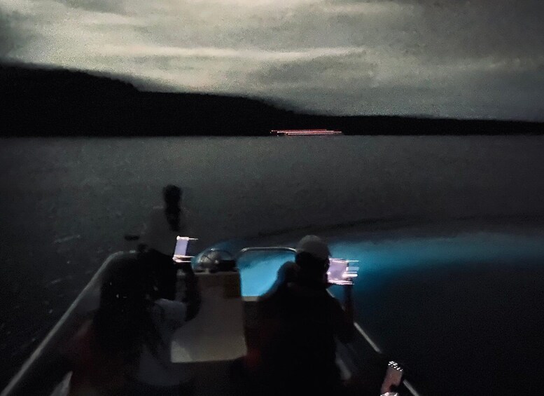 Picture 6 for Activity Vieques: Bioluminescent Bay Boat Tour