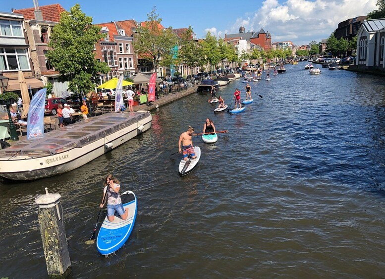 Picture 4 for Activity Leiden: Paddleboard Rental to Explore Leiden's Canals