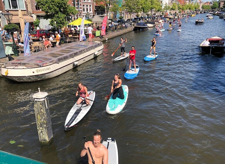 Picture 6 for Activity Leiden: Paddleboard Rental to Explore Leiden's Canals