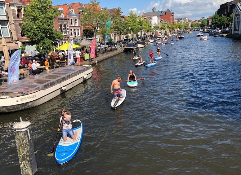 Picture 4 for Activity Leiden: Paddleboard Rental to Explore Leiden's Canals