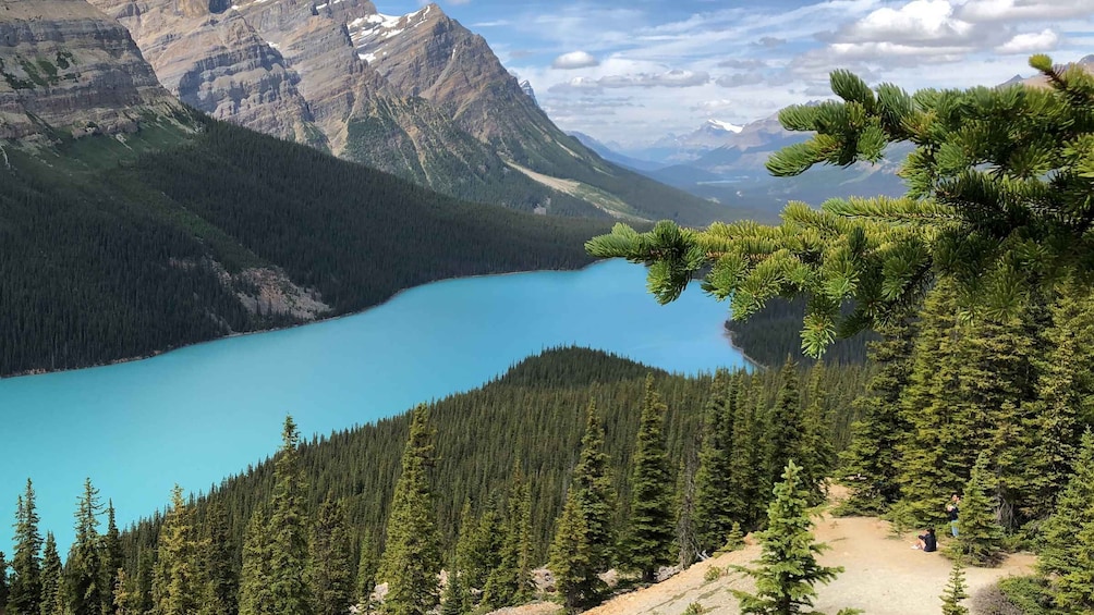 Private Icefields Parkway Tour w/ Lake Louise & Moraine Lake