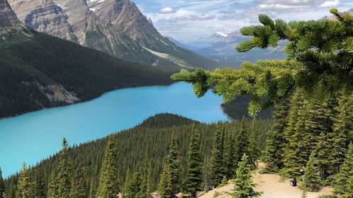 Private Icefields Parkway Tour w/ Lake Louise & Moraine Lake