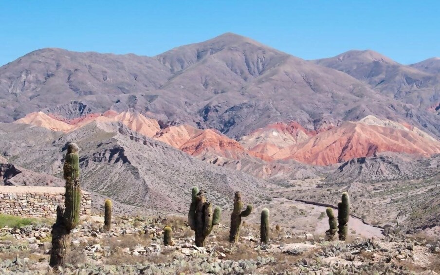 Picture 13 for Activity From Salta: Quebrada de Humahuaca, Purmamarca and Tilcara
