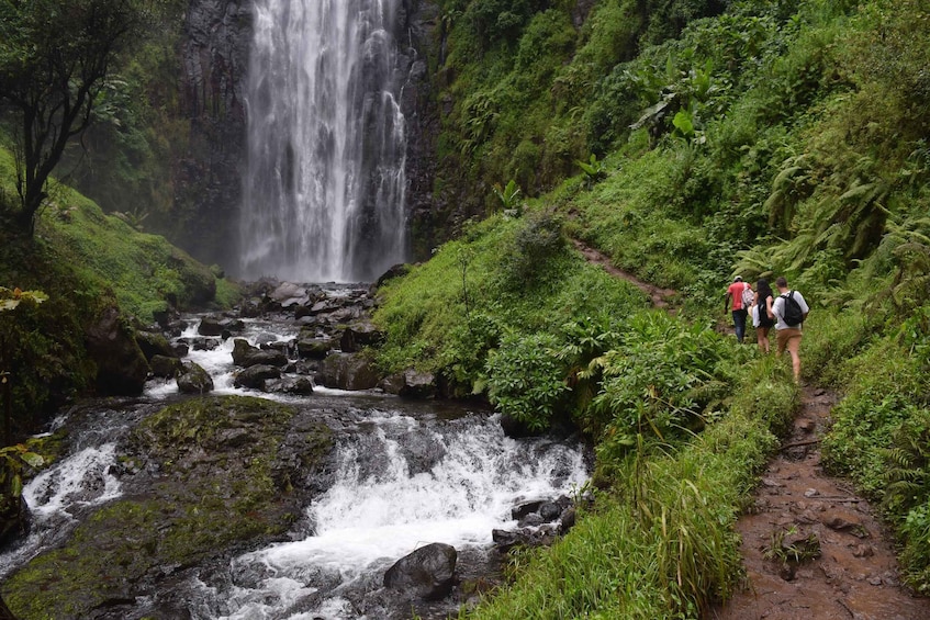 Picture 15 for Activity Materuni Waterfalls, Chemka Hot Springs, &/Or Coffee Tour