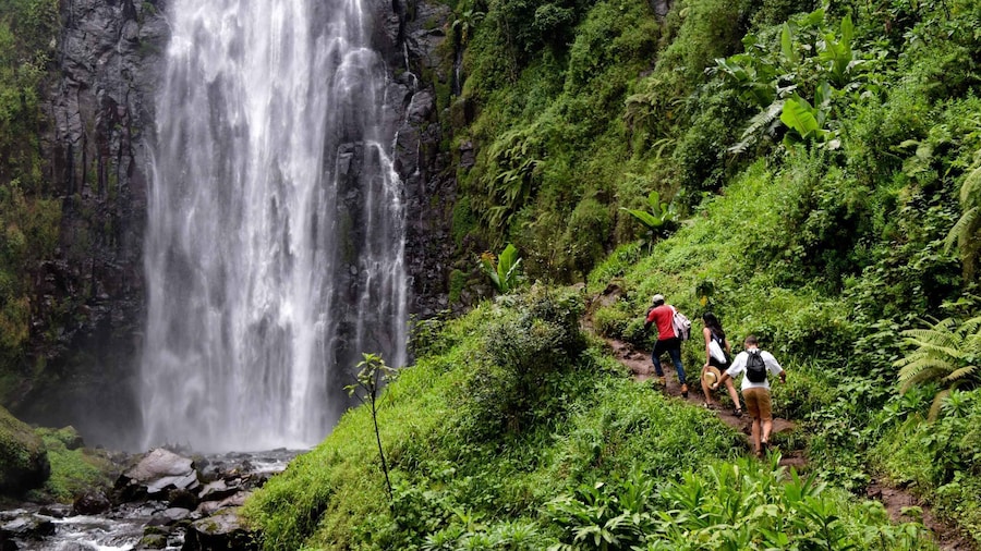 Materuni Waterfalls, Chemka Hot Springs, &/Or Coffee Tour