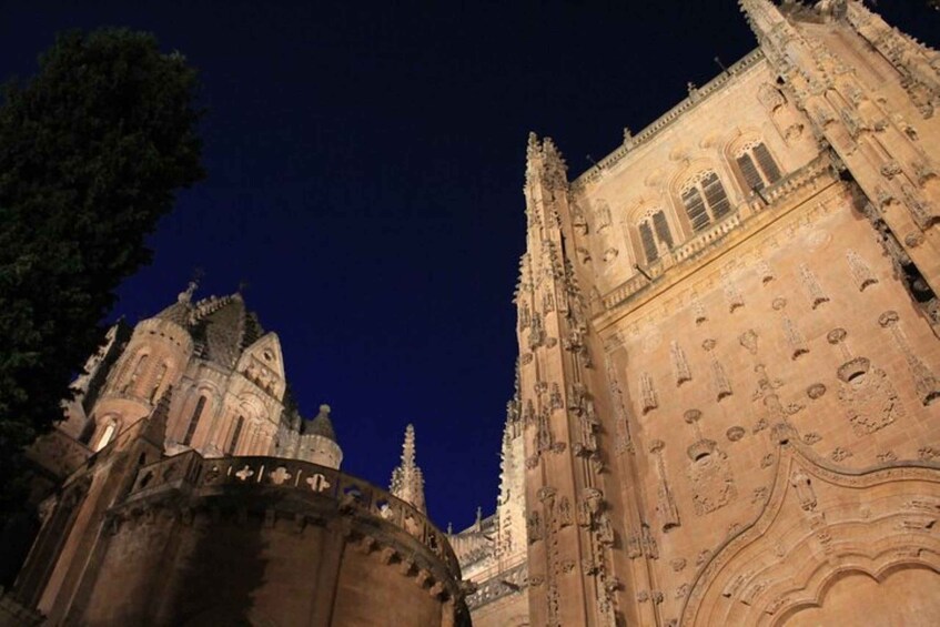 Picture 2 for Activity Salamanca: Evening Sightseeing Walking Tour